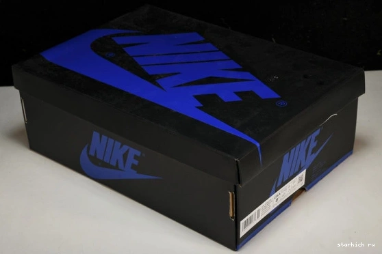  Retro  Royal DZ5485-042 High   Reimagined Jordan OG 1 DZ5485-042 0209